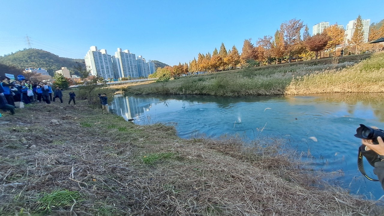 사용자가 올린 이미지