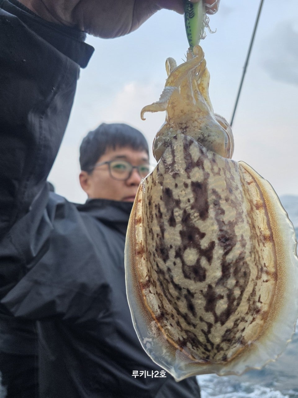 사용자가 올린 이미지