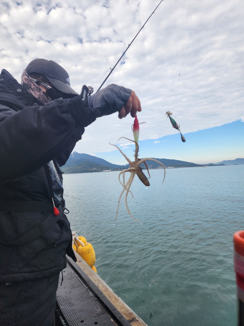 사용자가 올린 이미지