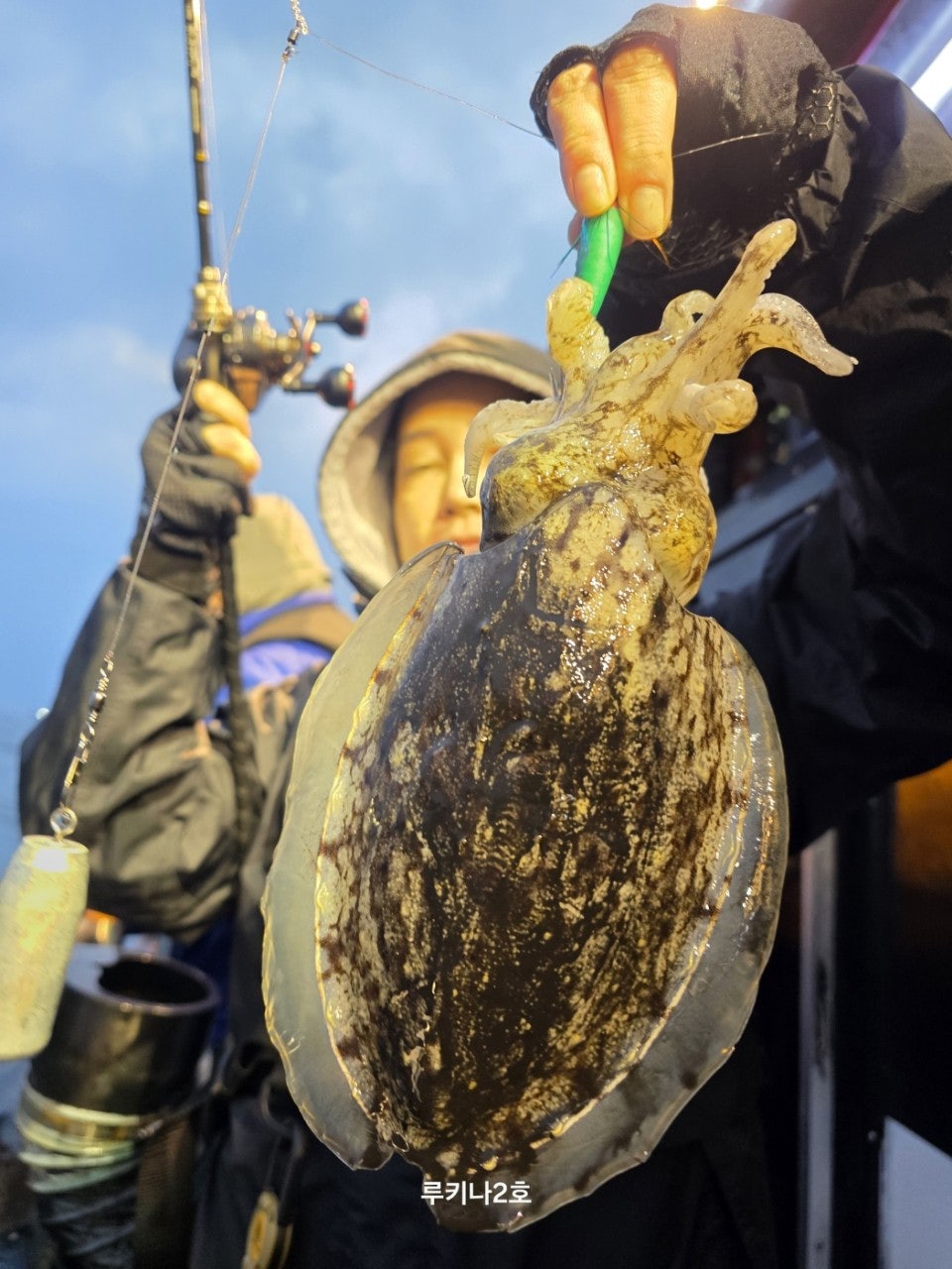 사용자가 올린 이미지