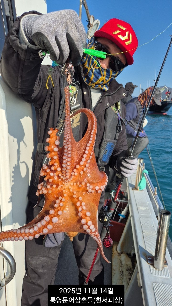 ����ڰ� �ø� �̹���