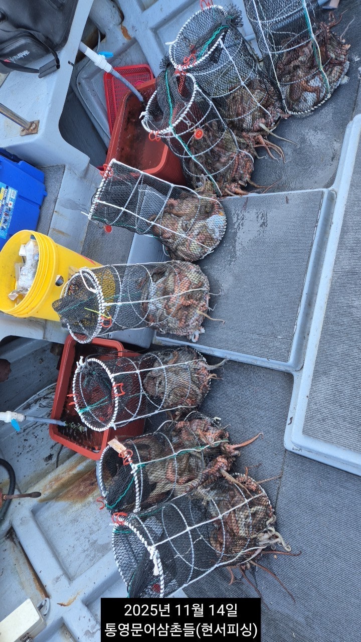 ����ڰ� �ø� �̹���