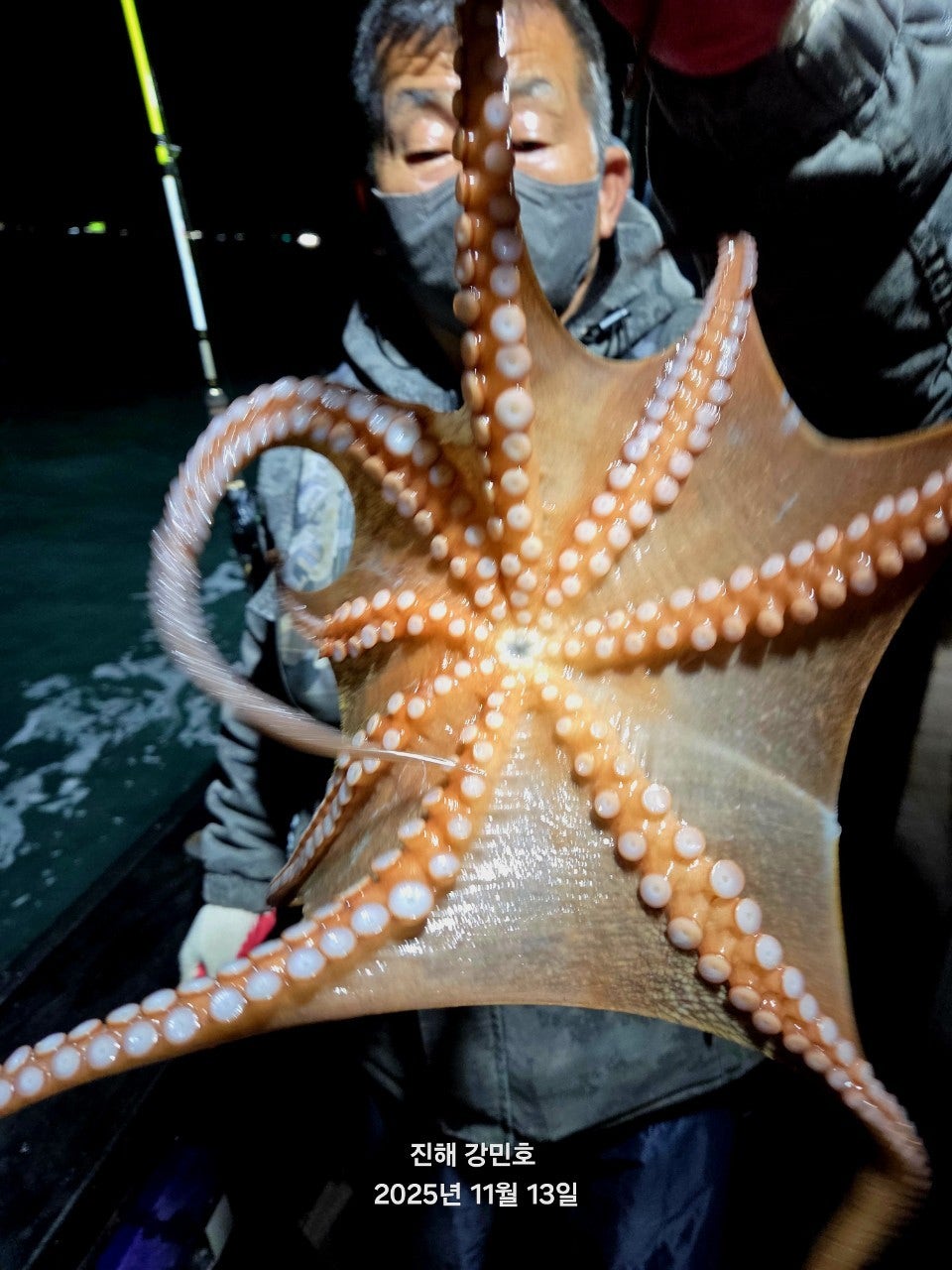 ����ڰ� �ø� �̹���