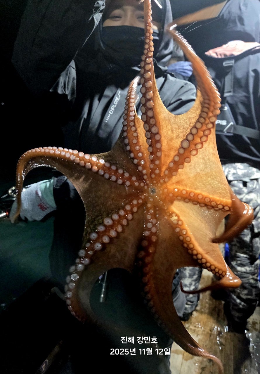 ����ڰ� �ø� �̹���