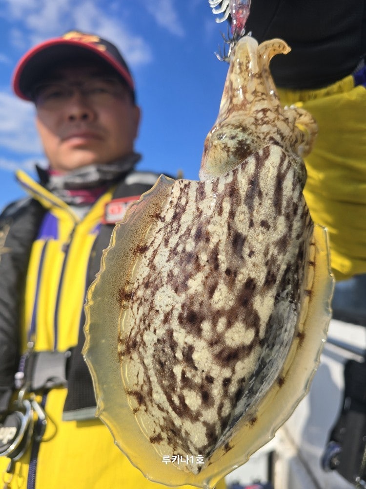 사용자가 올린 이미지