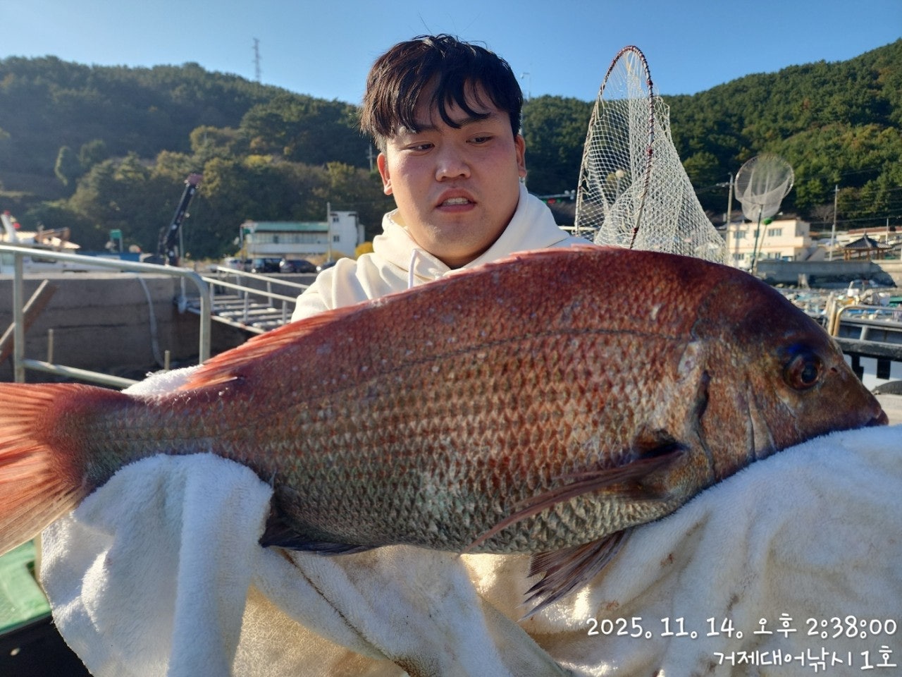 사용자가 올린 이미지