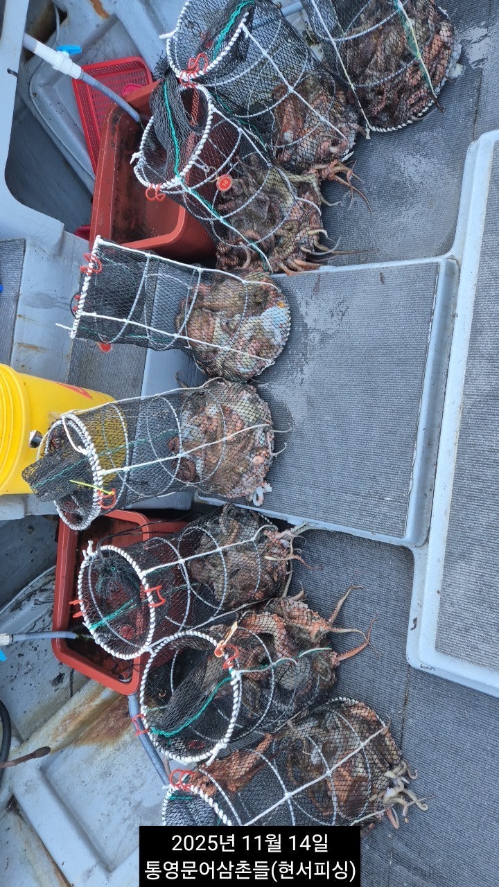 ����ڰ� �ø� �̹���