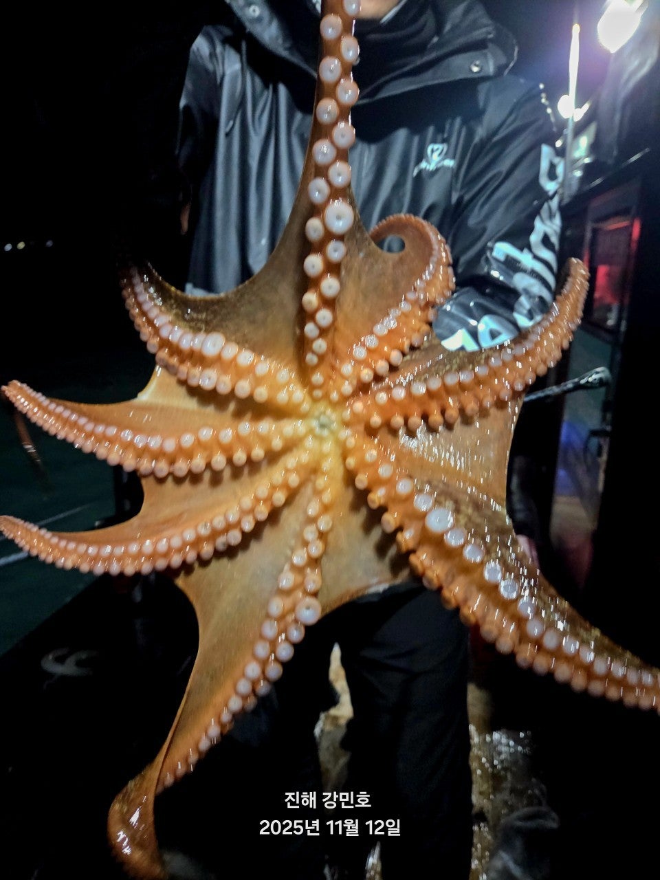 ����ڰ� �ø� �̹���