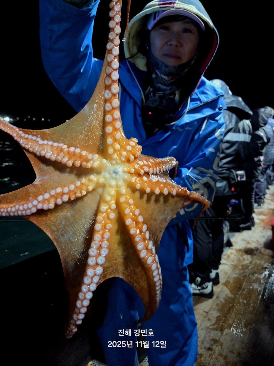 ����ڰ� �ø� �̹���