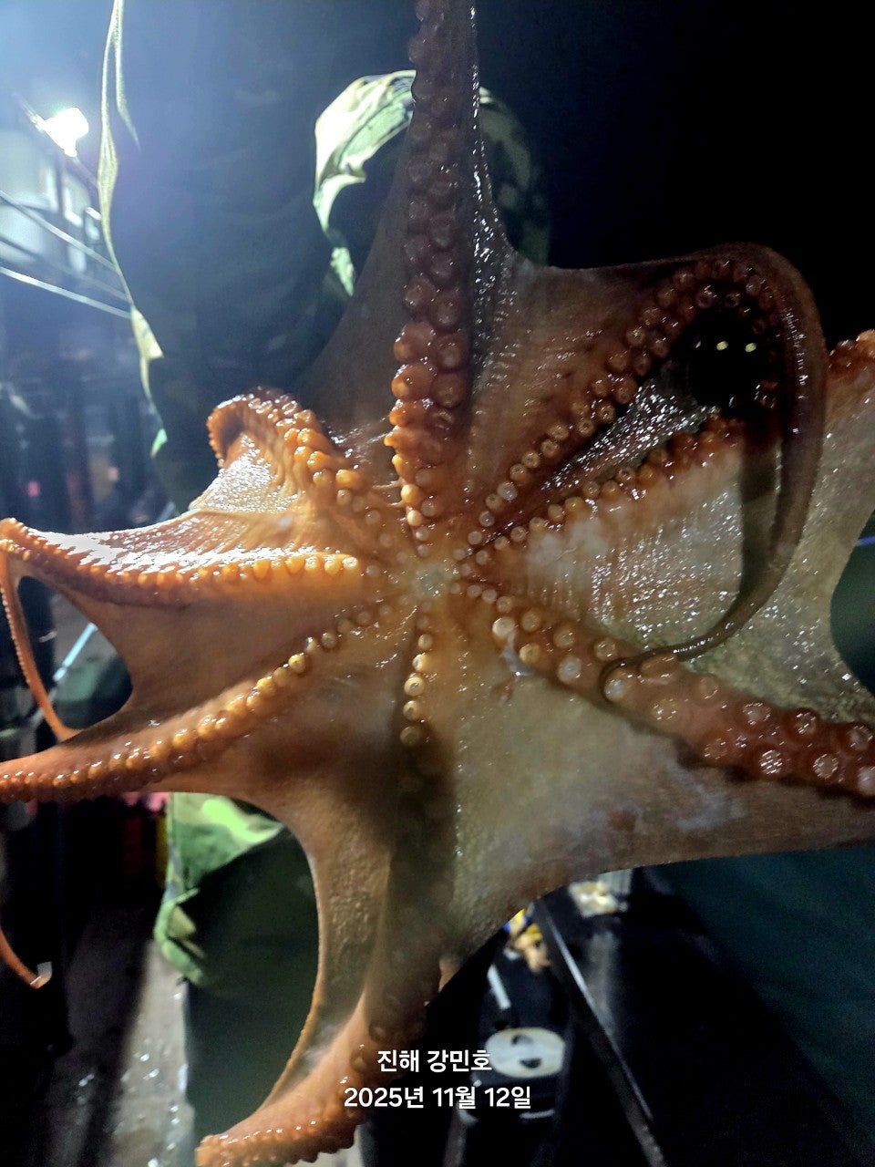 ����ڰ� �ø� �̹���