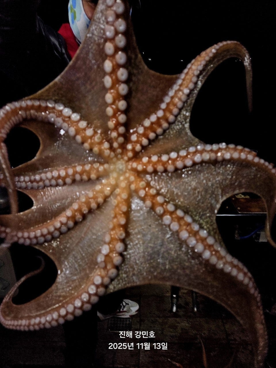 ����ڰ� �ø� �̹���