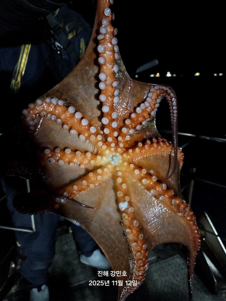 ����ڰ� �ø� �̹���