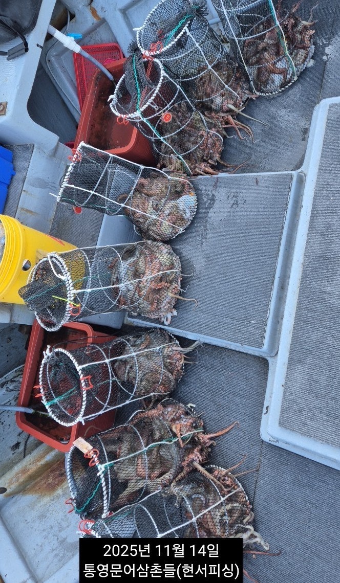 ����ڰ� �ø� �̹���