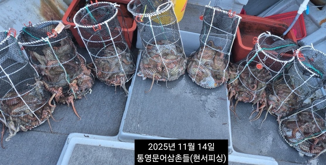 ����ڰ� �ø� �̹���