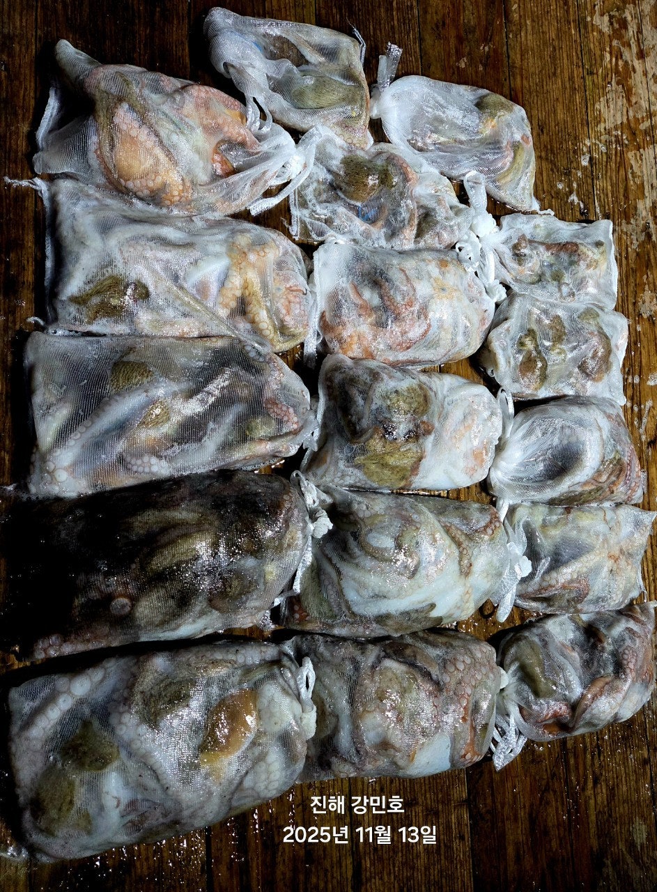 ����ڰ� �ø� �̹���