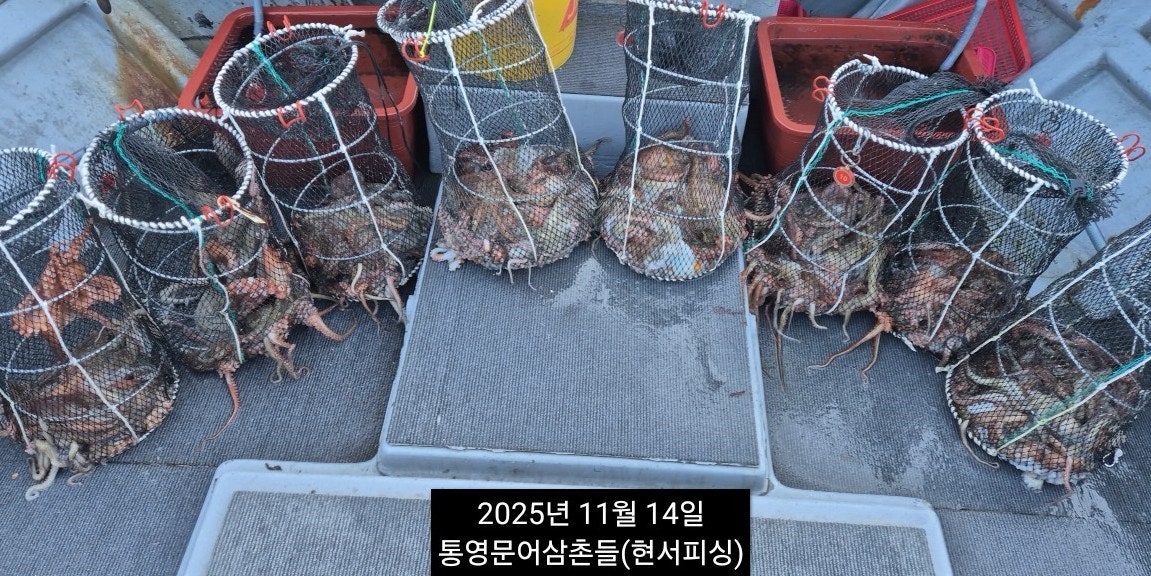 ����ڰ� �ø� �̹���