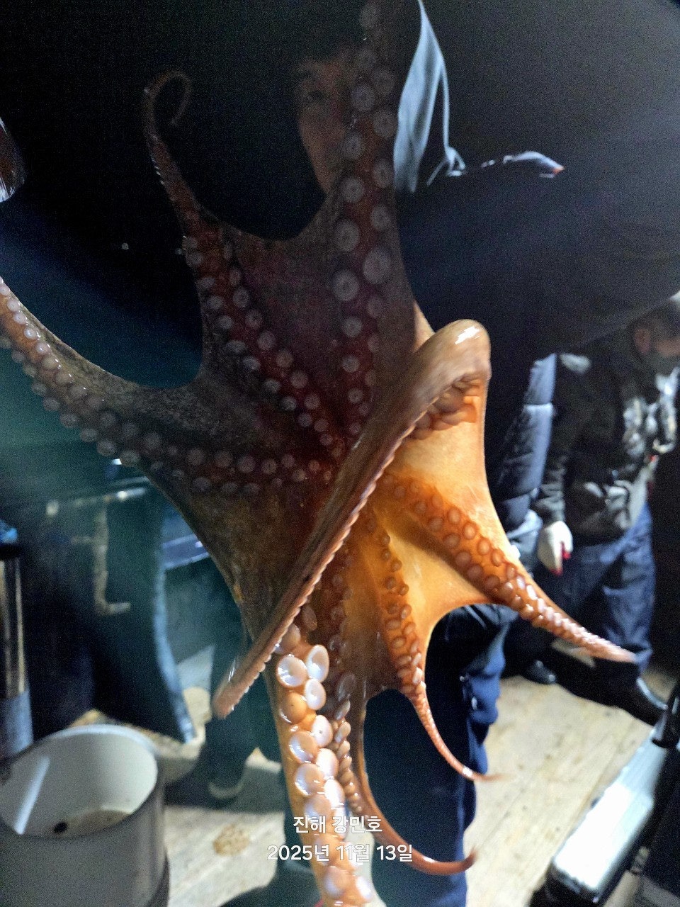 ����ڰ� �ø� �̹���