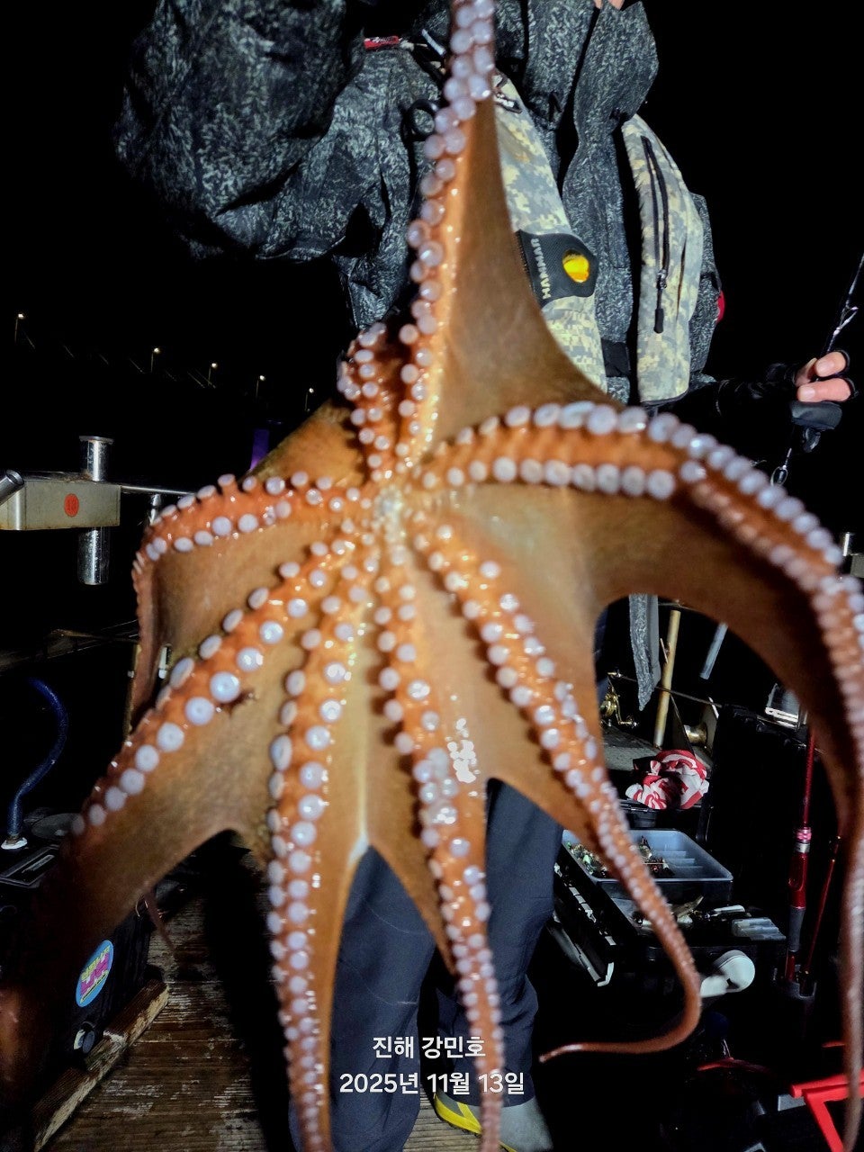 ����ڰ� �ø� �̹���