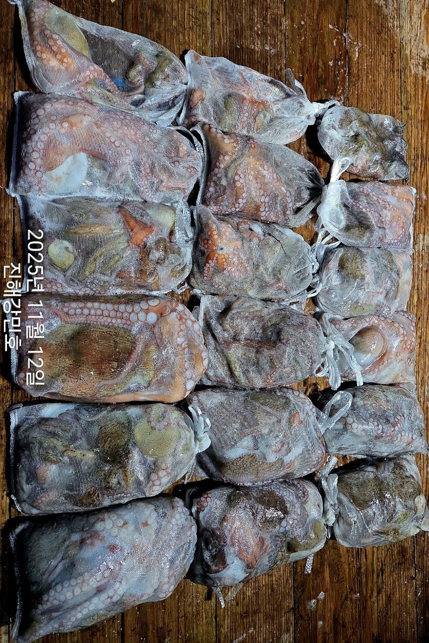 ����ڰ� �ø� �̹���