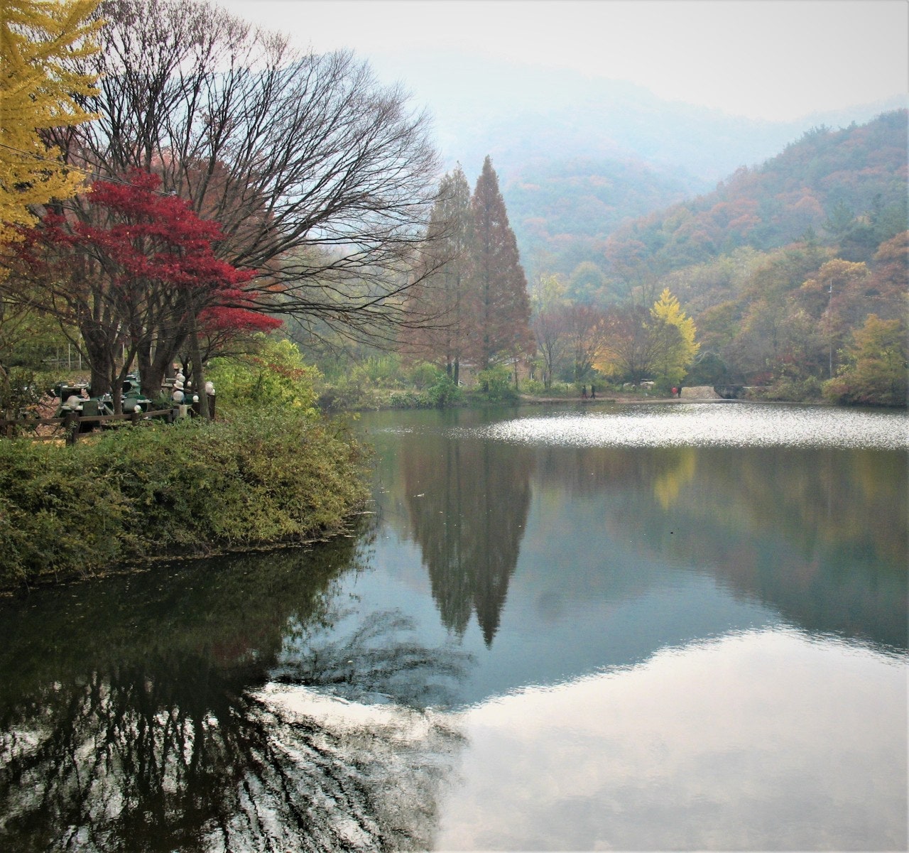 사용자가 올린 이미지