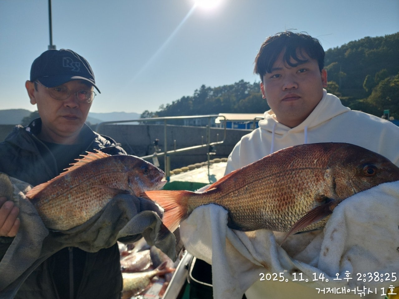 사용자가 올린 이미지