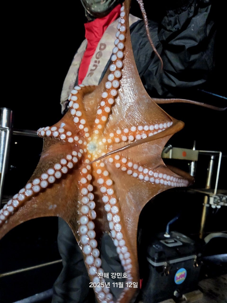 ����ڰ� �ø� �̹���