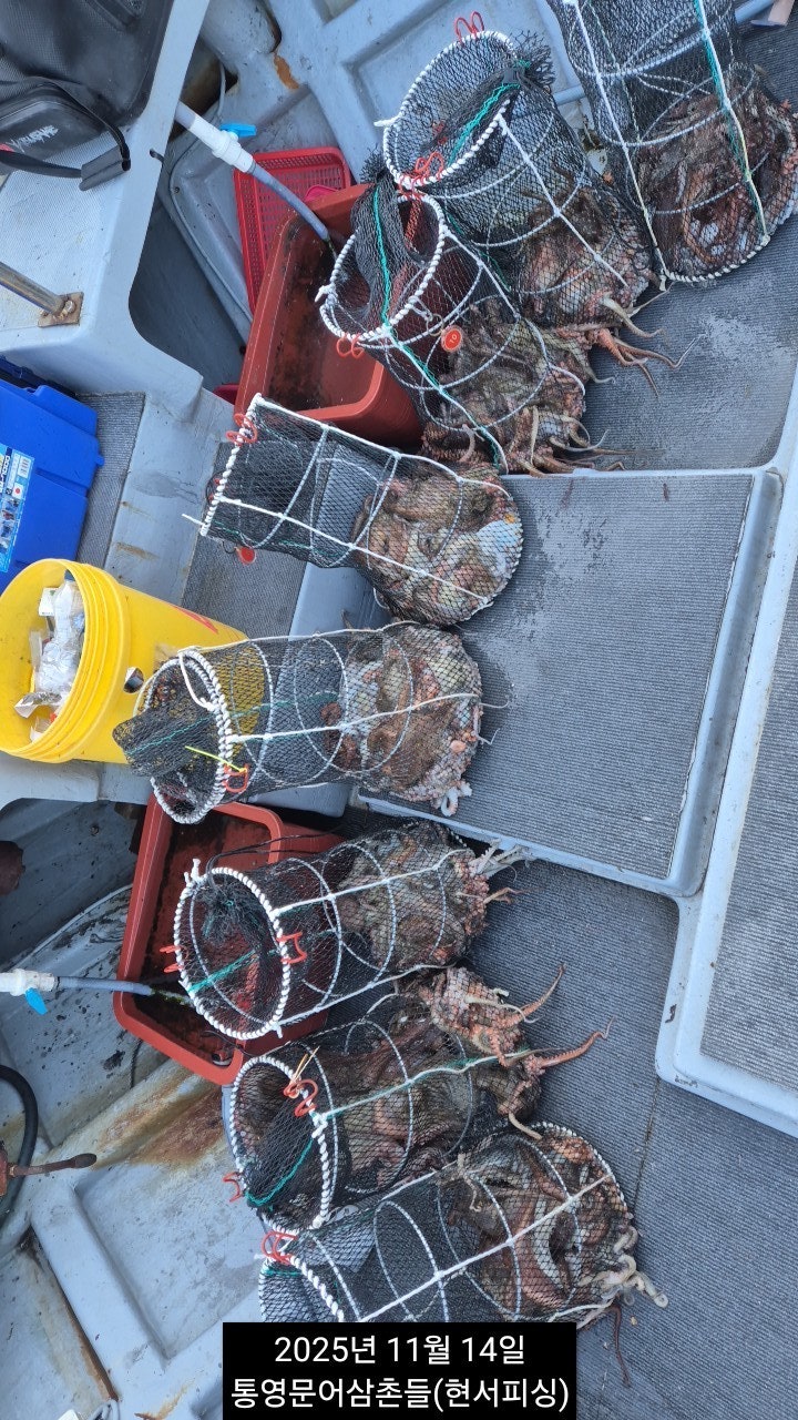 ����ڰ� �ø� �̹���