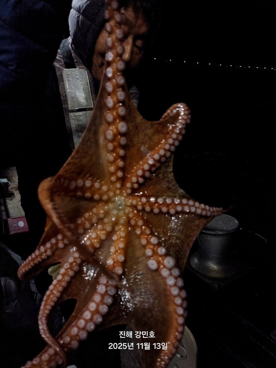 ����ڰ� �ø� �̹���