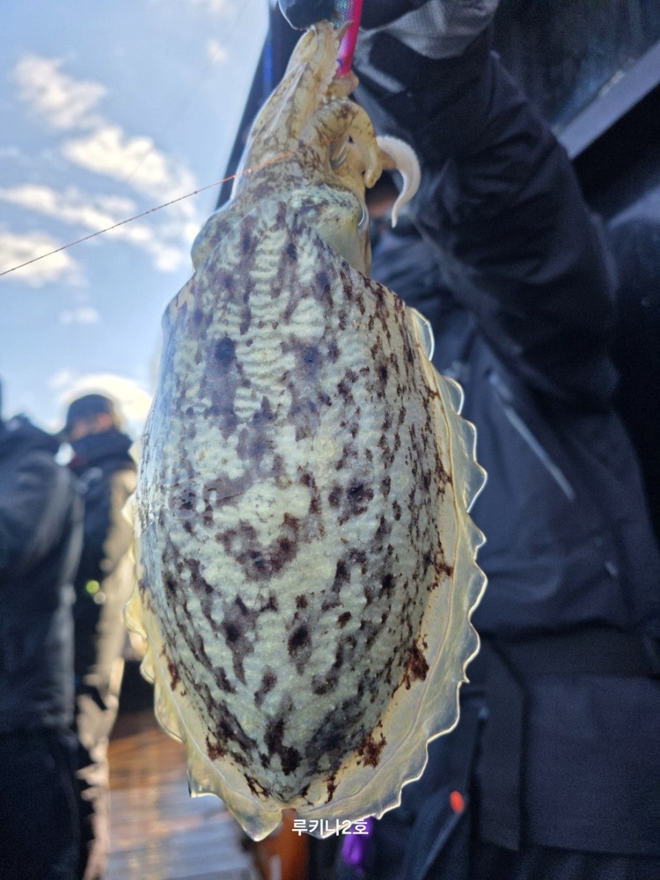 사용자가 올린 이미지