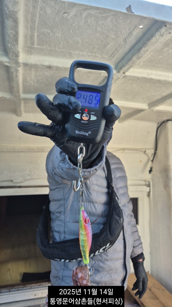 ����ڰ� �ø� �̹���