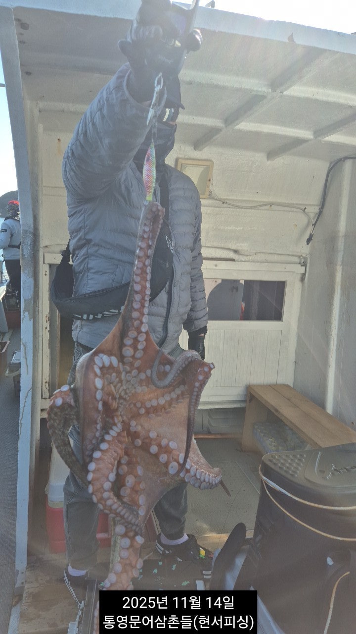 ����ڰ� �ø� �̹���