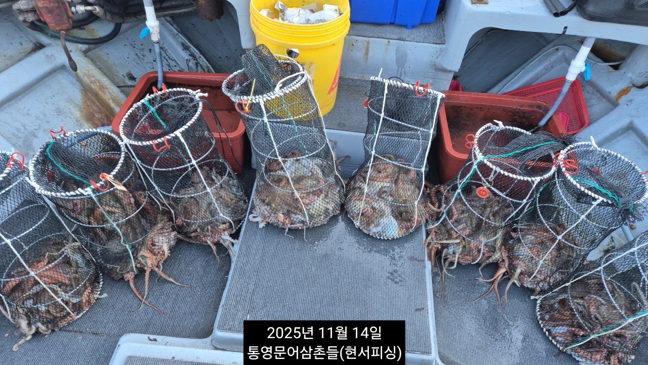 ����ڰ� �ø� �̹���