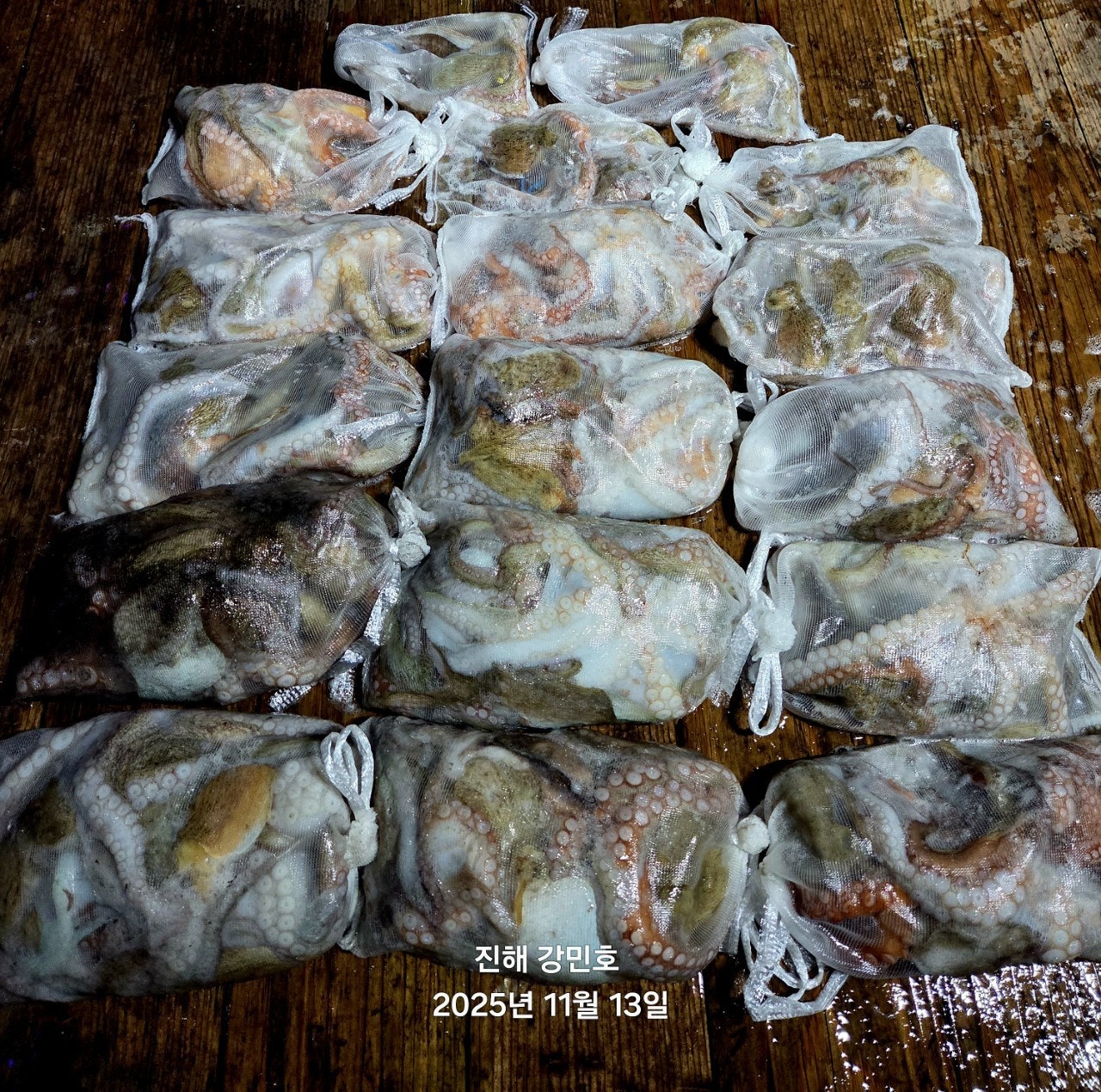 ����ڰ� �ø� �̹���