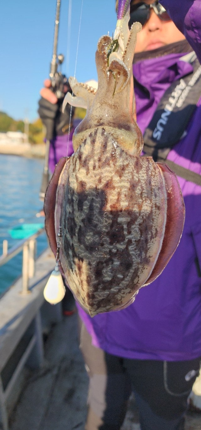 사용자가 올린 이미지