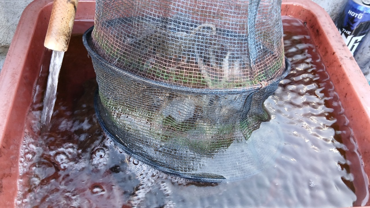 사용자가 올린 이미지