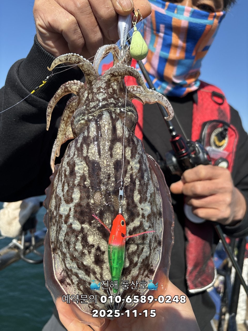 사용자가 올린 이미지