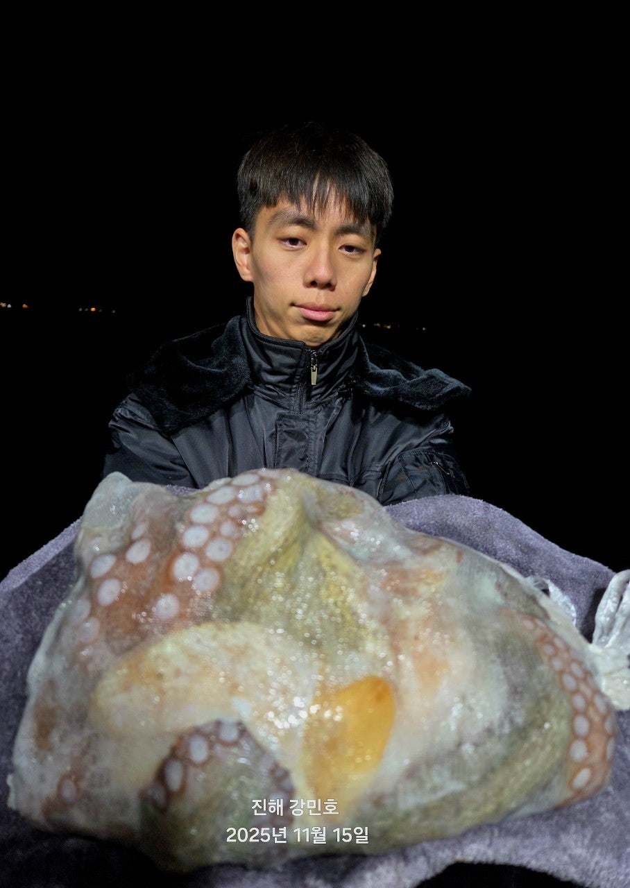 사용자가 올린 이미지