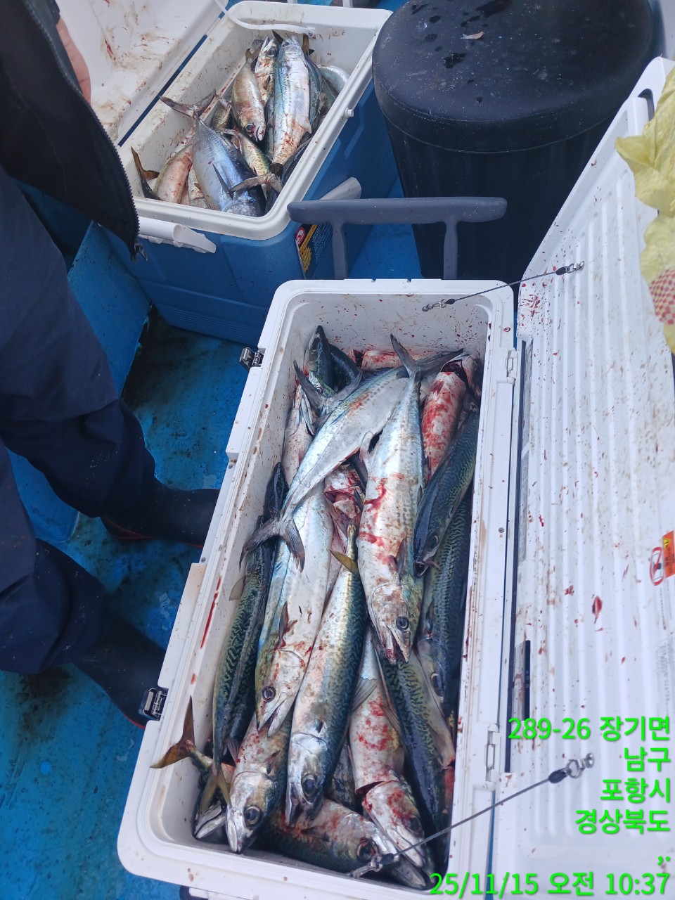 c_2ecUd018svc13dzaszo6b5r3_9bt2m0.jpg