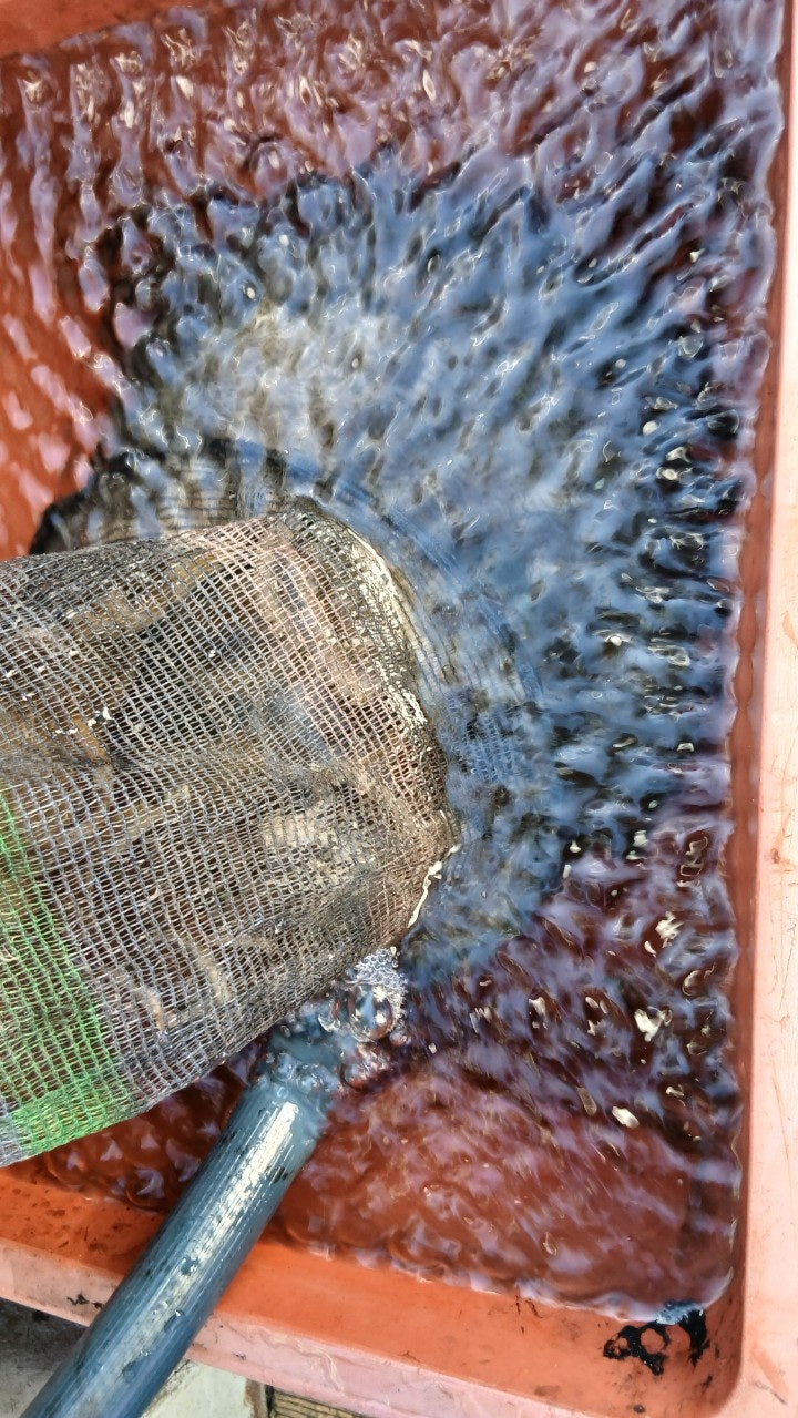 사용자가 올린 이미지