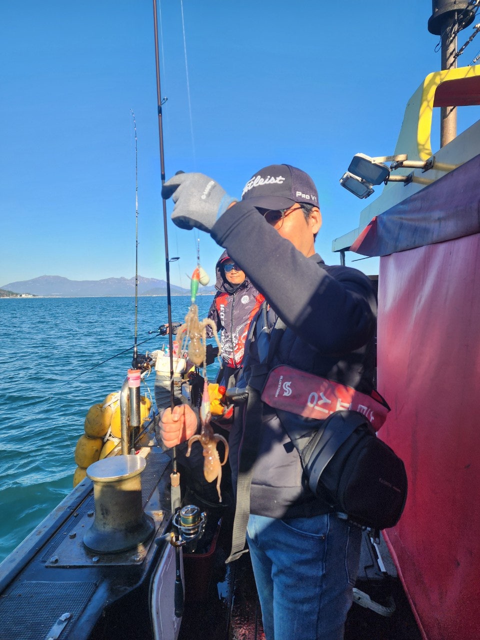 사용자가 올린 이미지