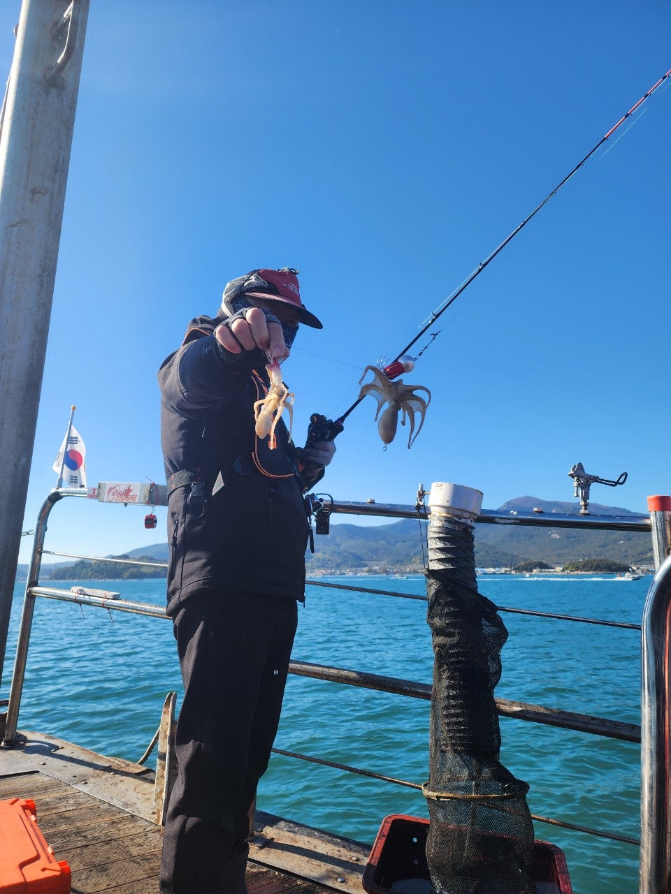 사용자가 올린 이미지