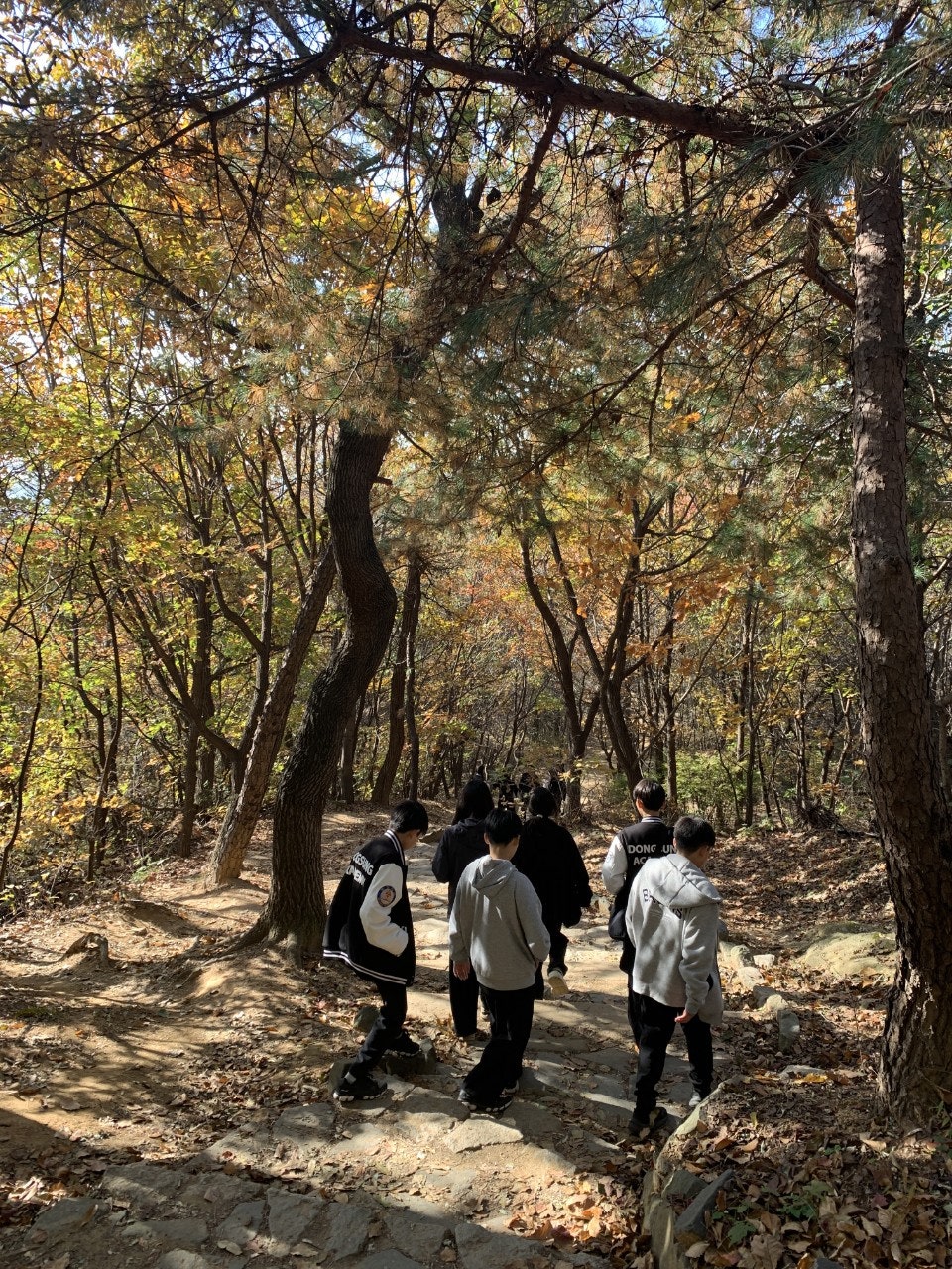 사용자가 올린 이미지