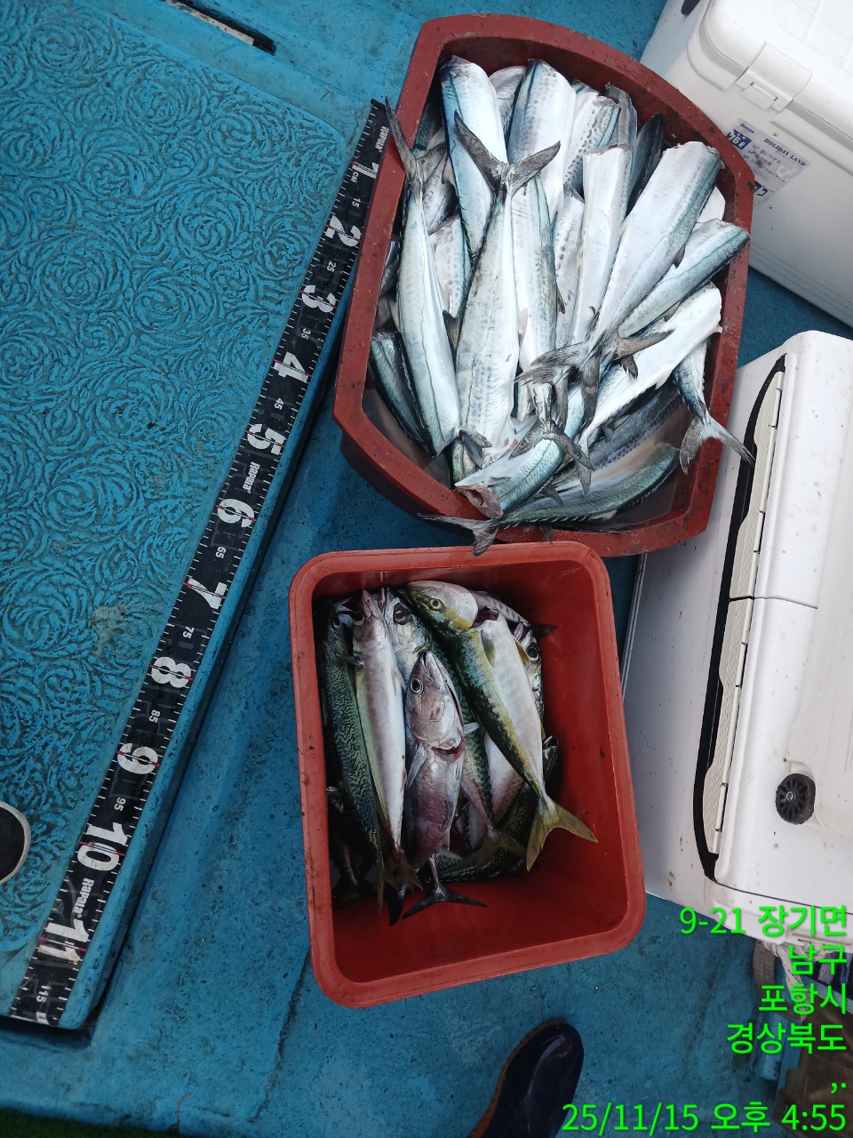 a_bg0Ud018svc1ch1xeo6c8vhi_9bt2m0.jpg