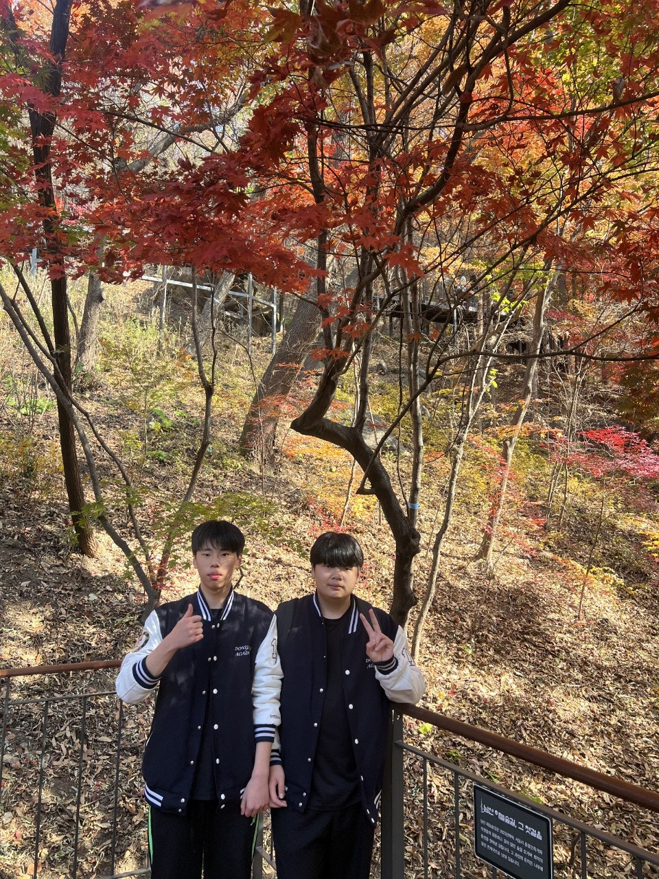 사용자가 올린 이미지