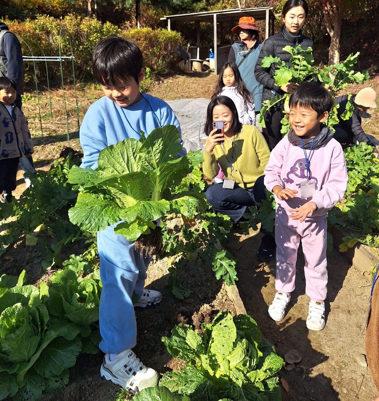 사용자가 올린 이미지