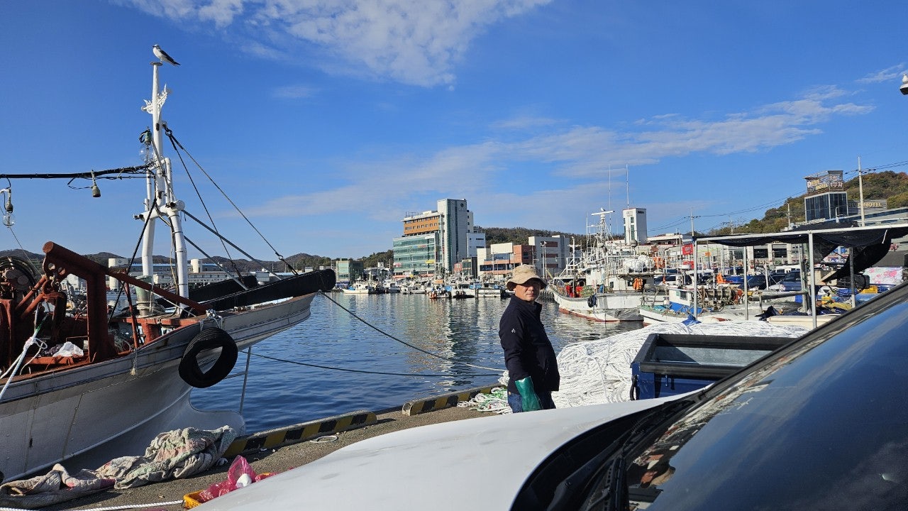 사용자가 올린 이미지