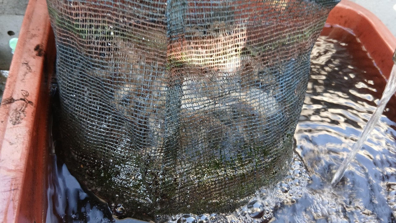 사용자가 올린 이미지