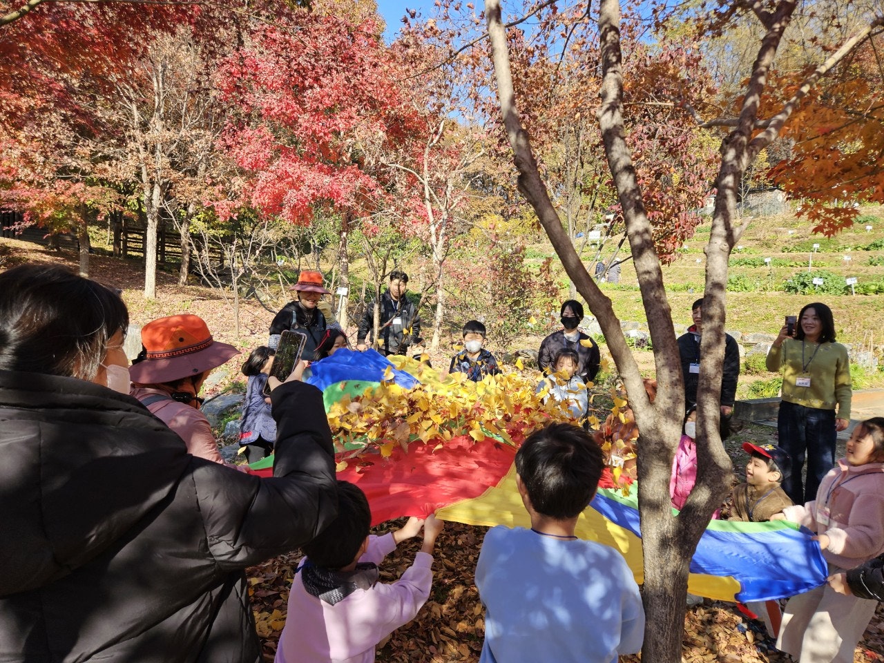 사용자가 올린 이미지