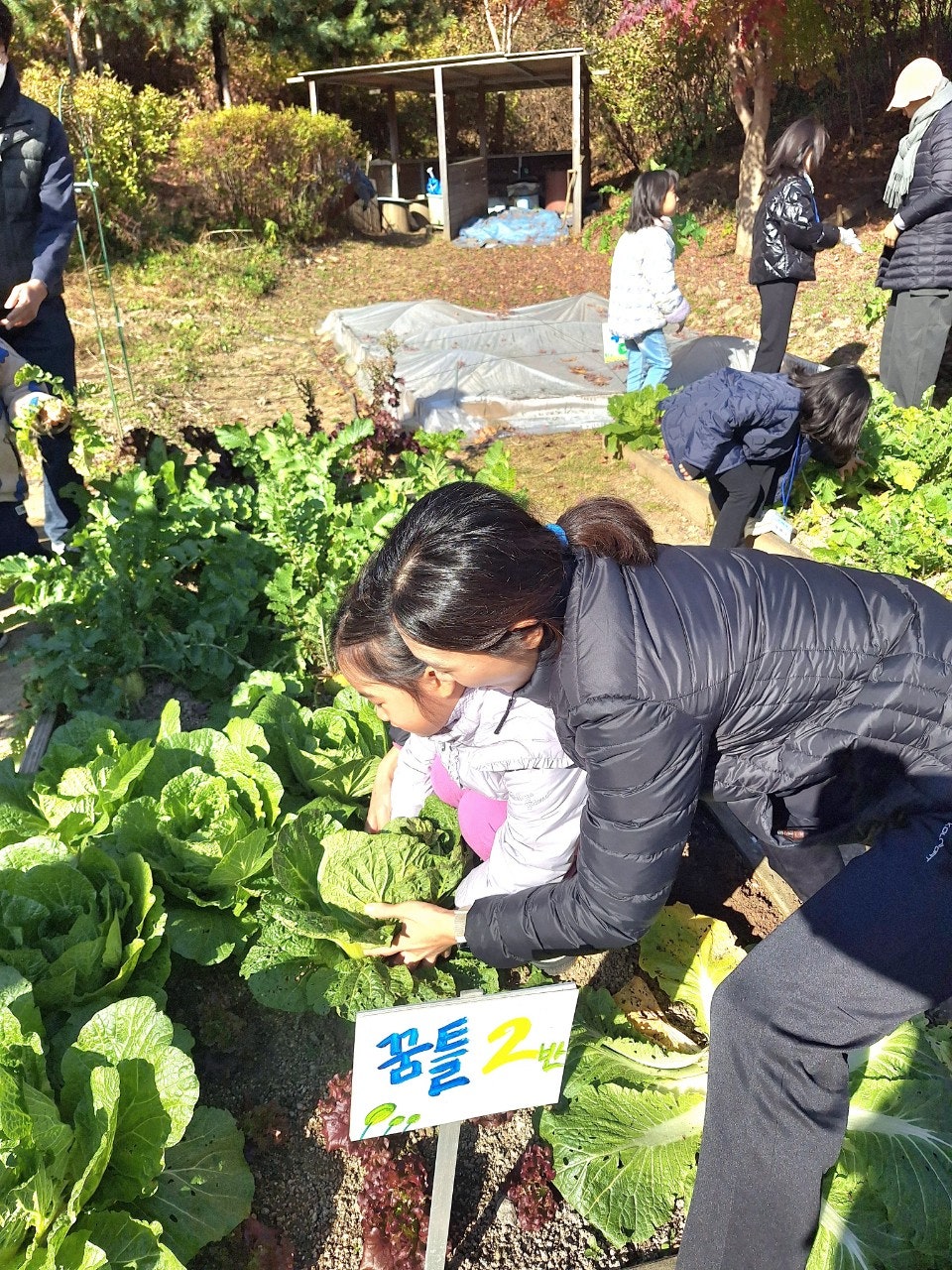 사용자가 올린 이미지