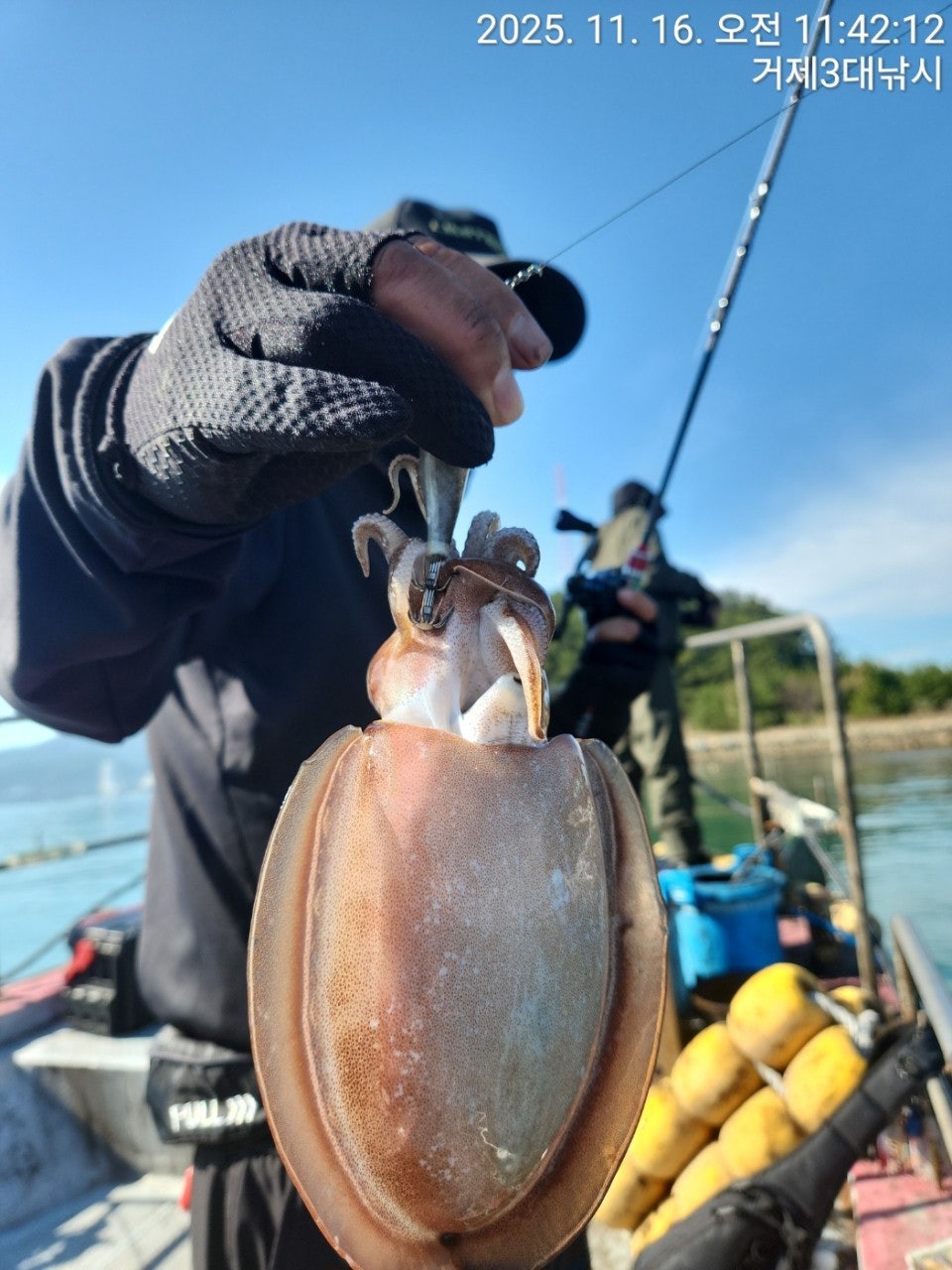 사용자가 올린 이미지